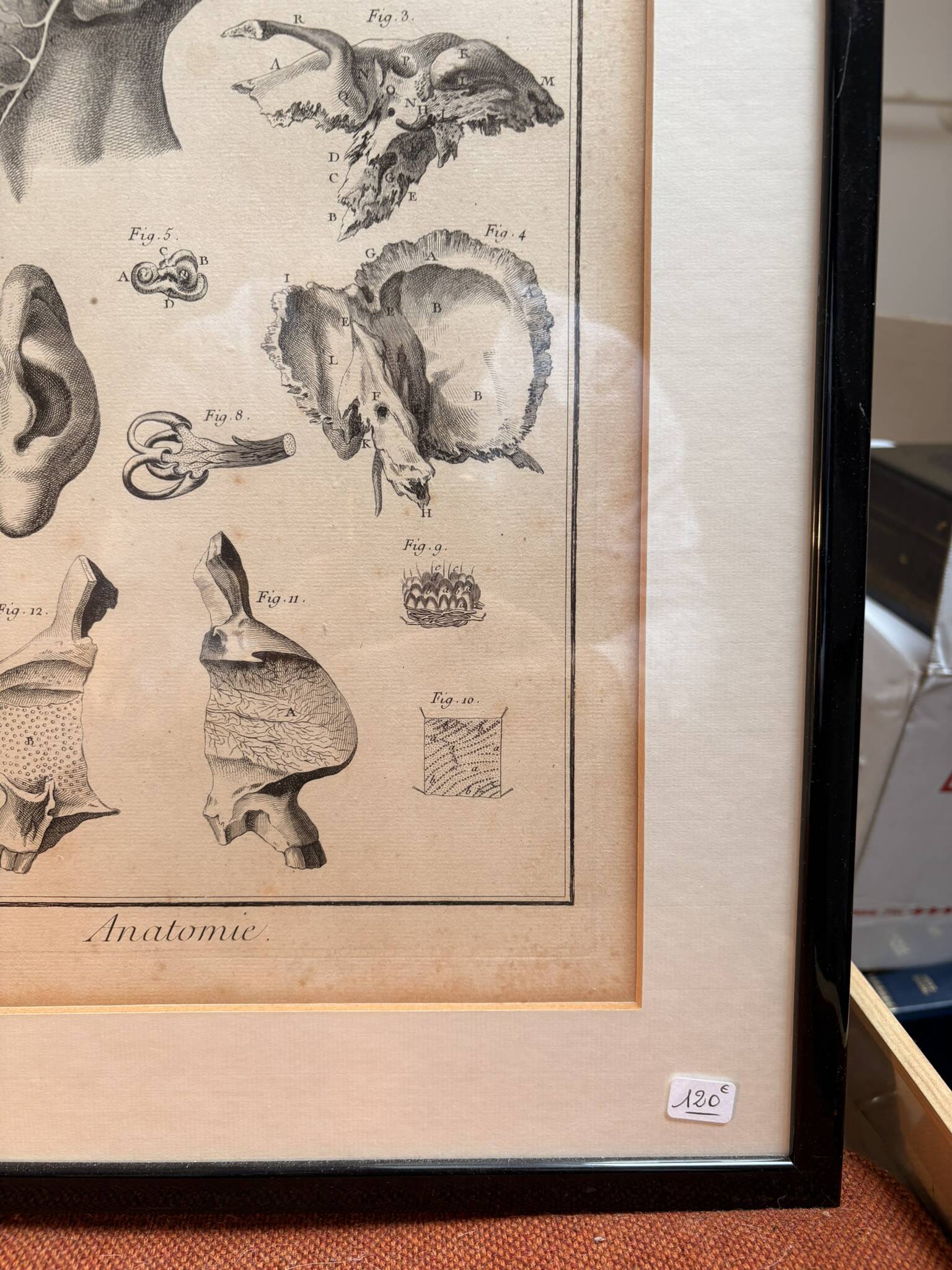 Engraving of Verney Duverney Valsava Encyclopaedia Direct Anatomy Ear