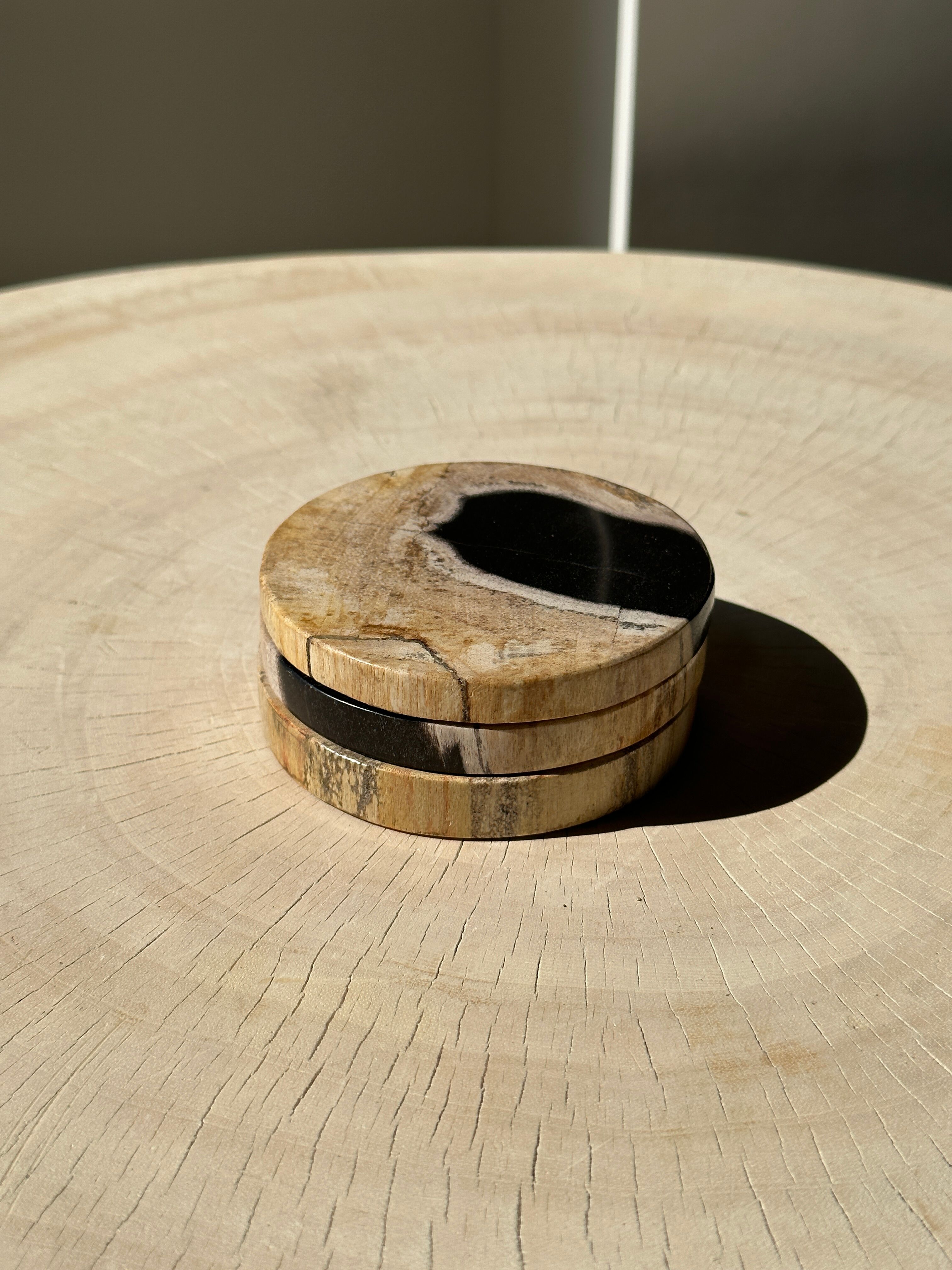 Set of 3 fossilized wooden coasters (clear)