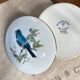 Round porcelain box "bird"