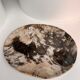 Very large empty pocket or petrified wooden flat