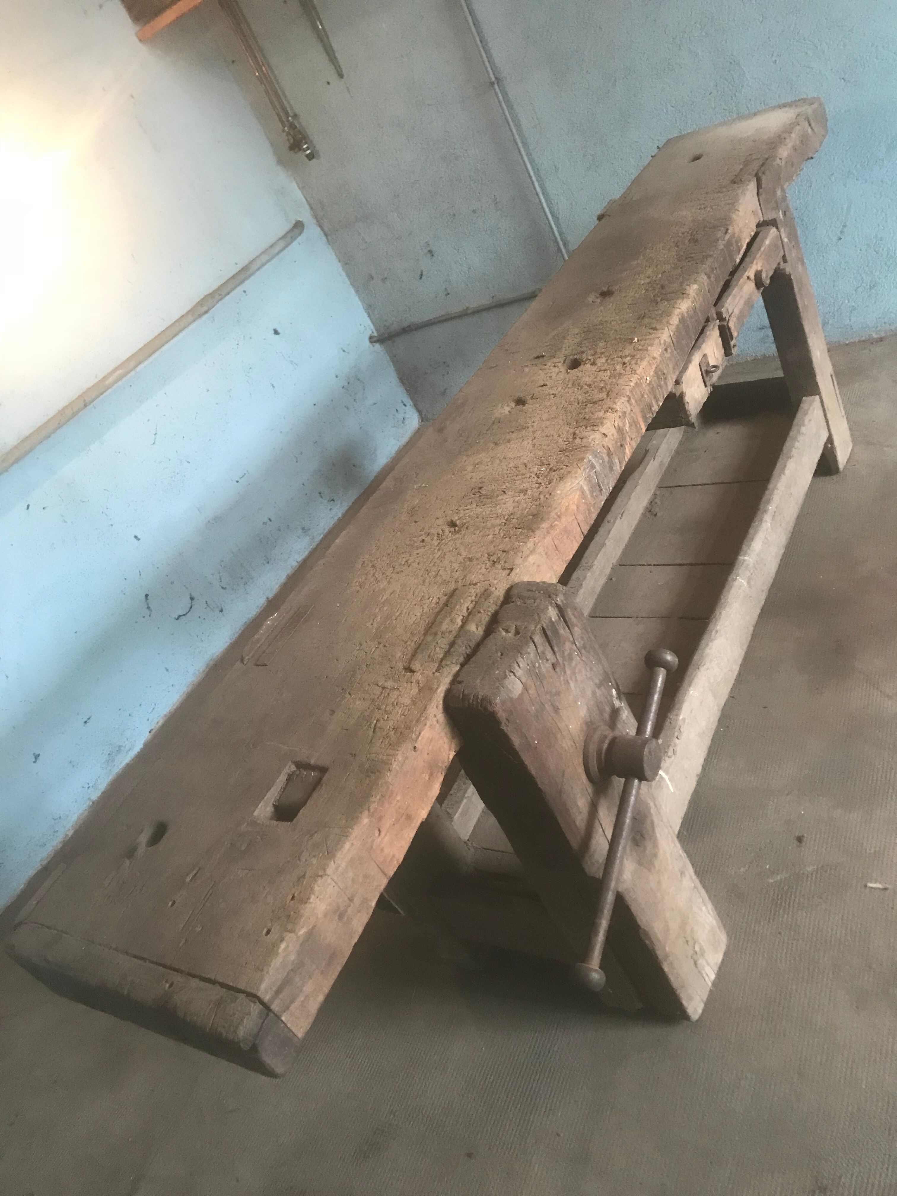 Carpenter's workbench 2m36