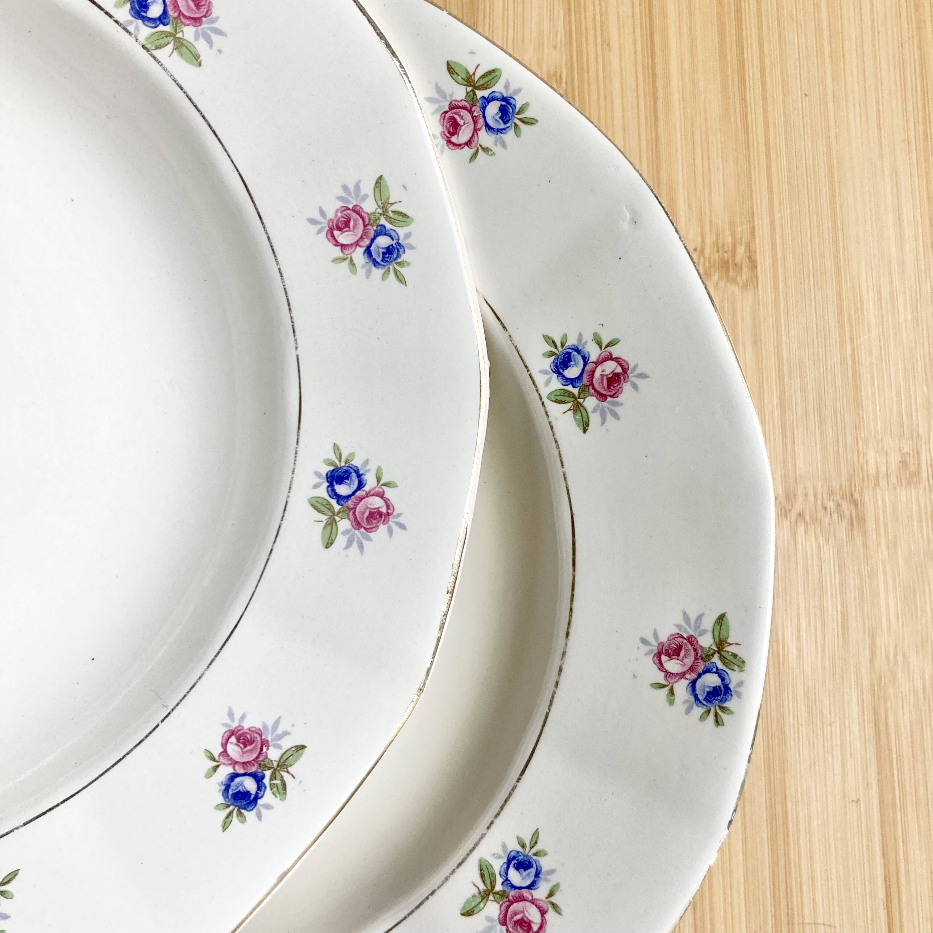 6 Digoin soup plates