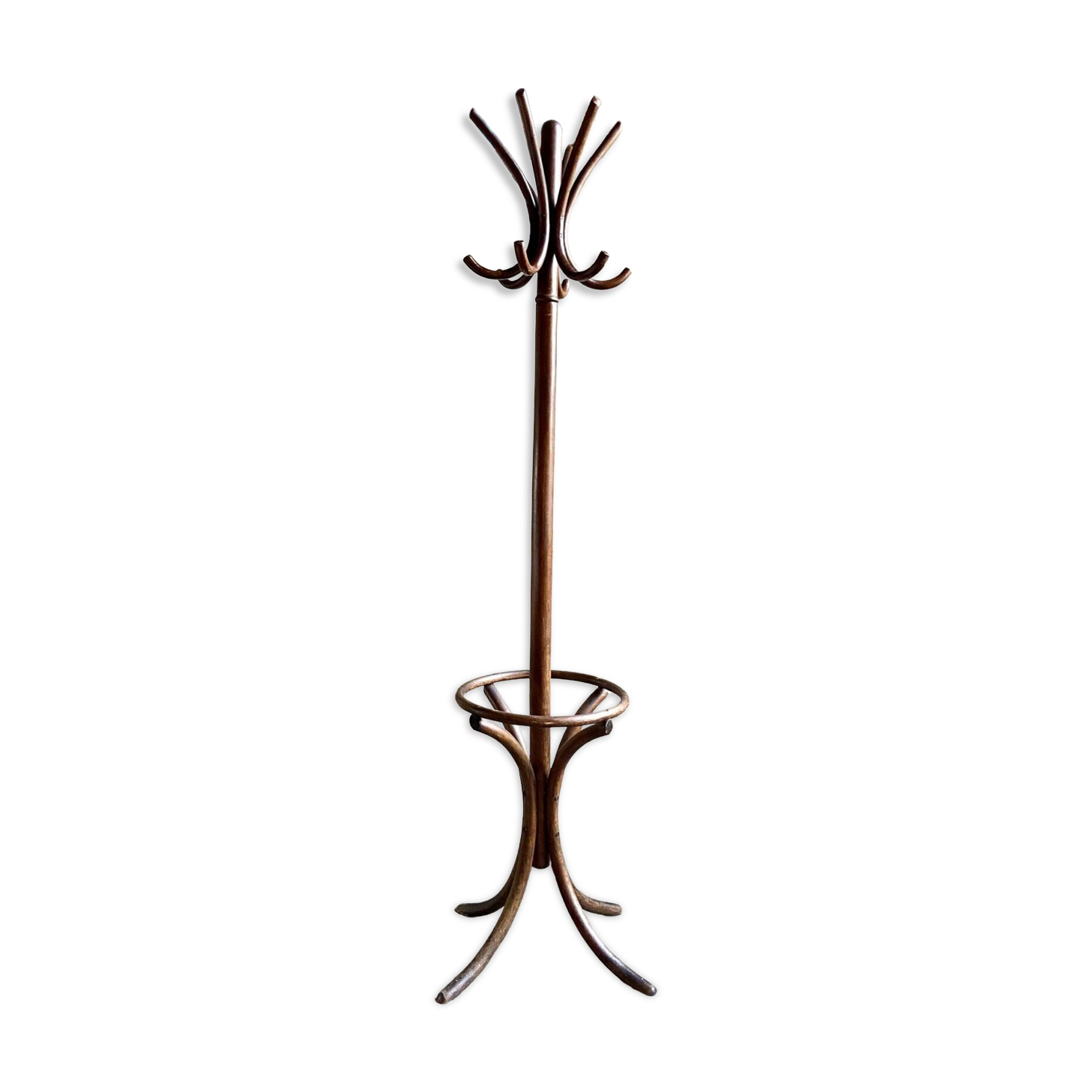 Parrot coat rack with 6 hooks in bent beech