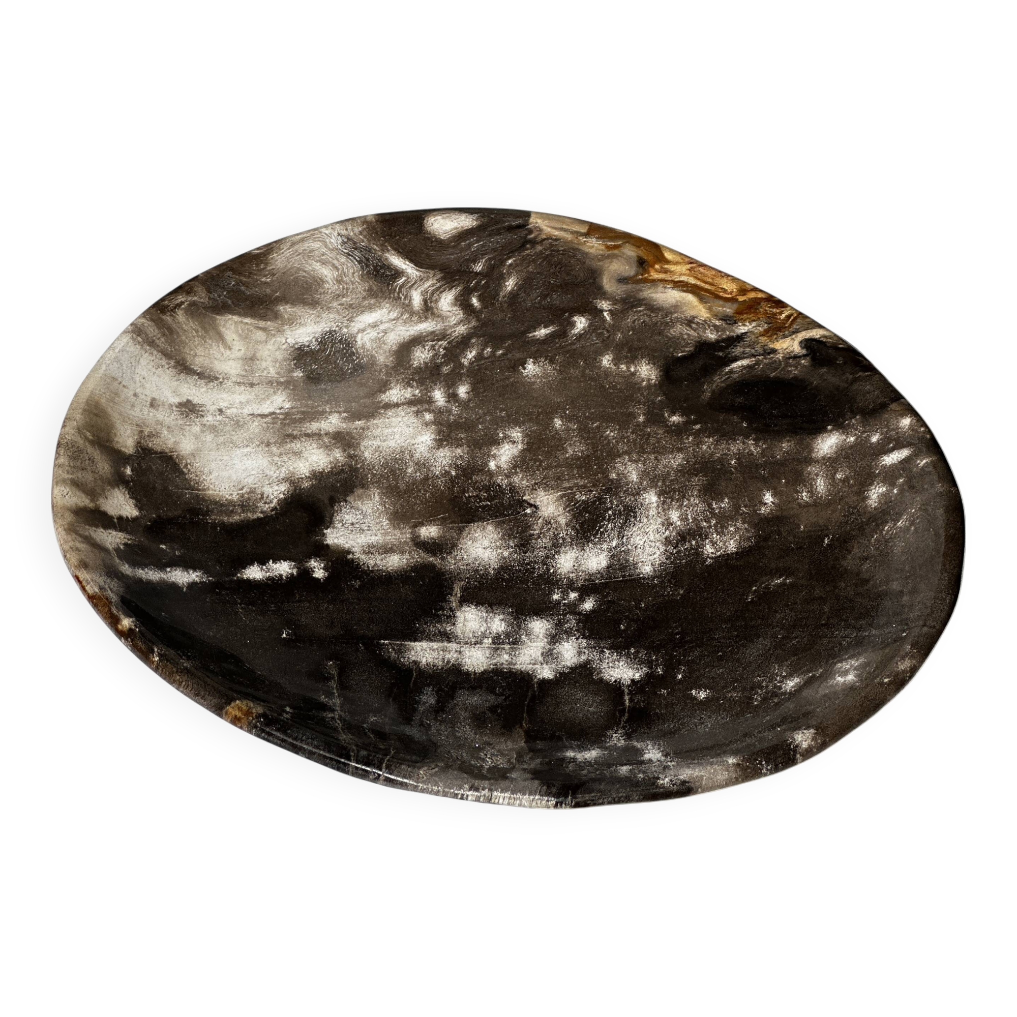 Medium petrified wood dish or pocket emptier, predominantly gray 1137