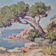 Bord de côte par Leflorentin
