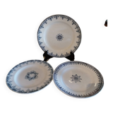 Old flat plates made of ironstone