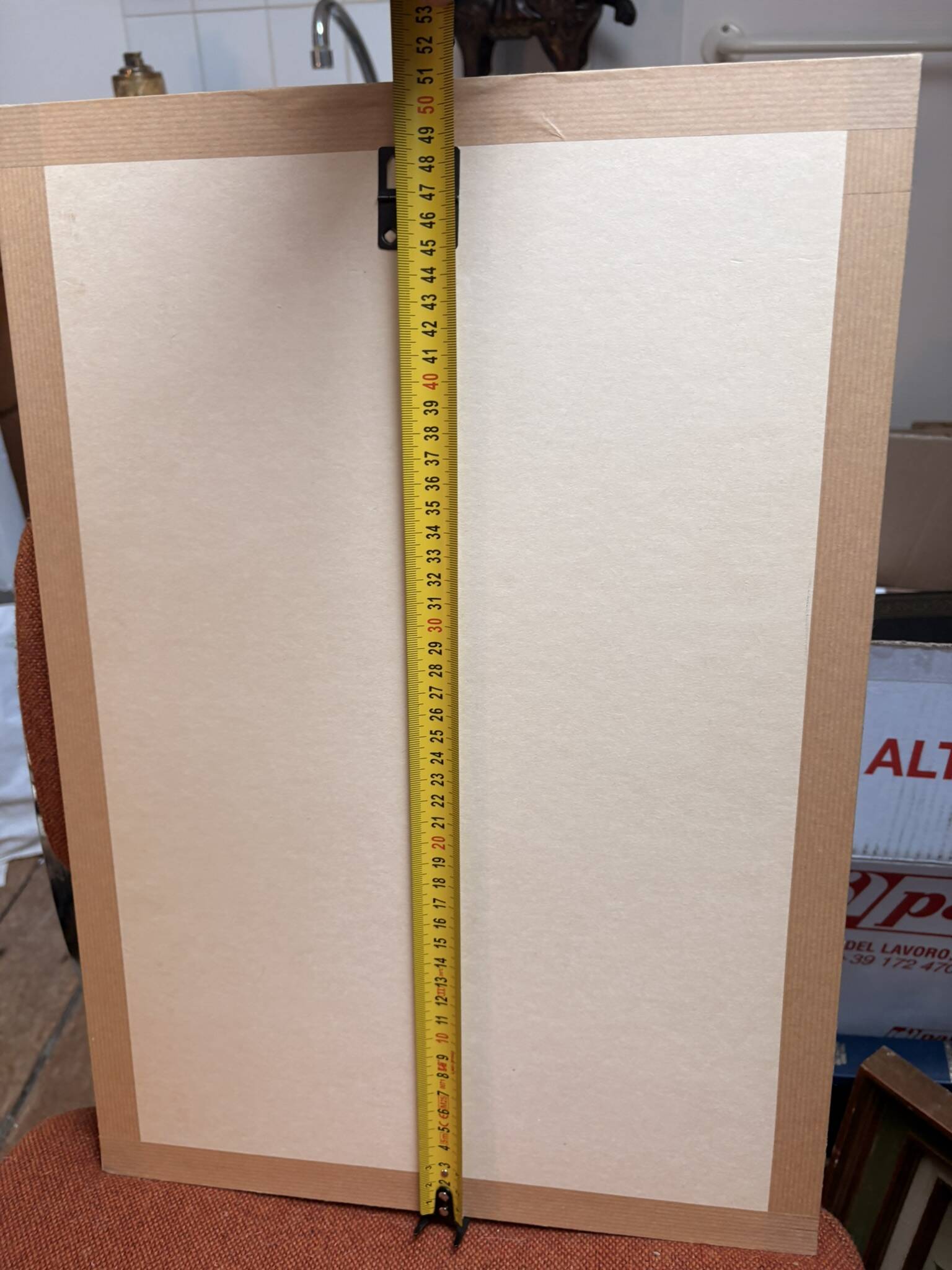 Gravure 19th Century Anatomy Face Woman ANGELO ZAFFONATO "Five Senses"