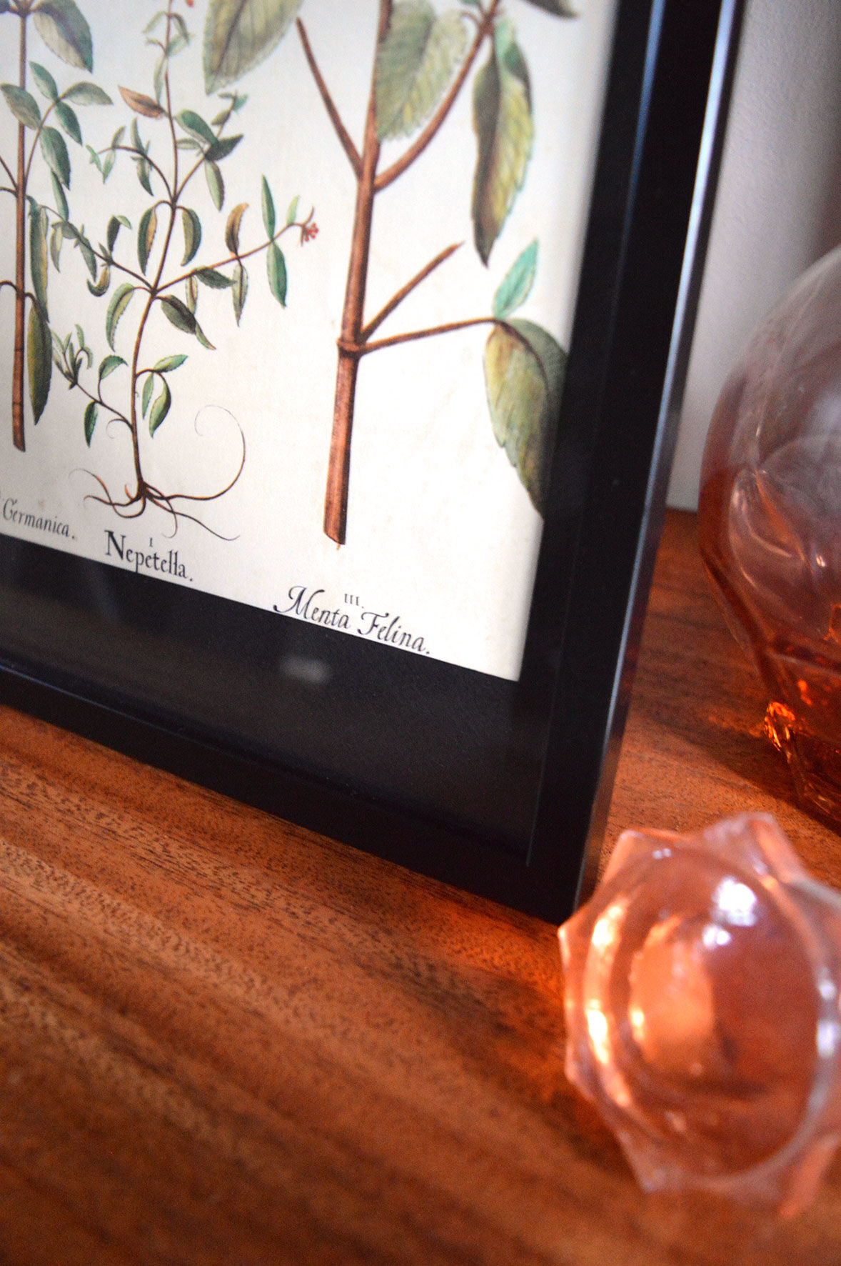 Framed pharmaceutical board