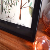 Framed pharmaceutical board