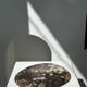 Dish in petrified wood