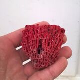 Vintage red coral duo