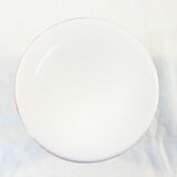 Vase in opaline opaline glass hand painted flower decoration