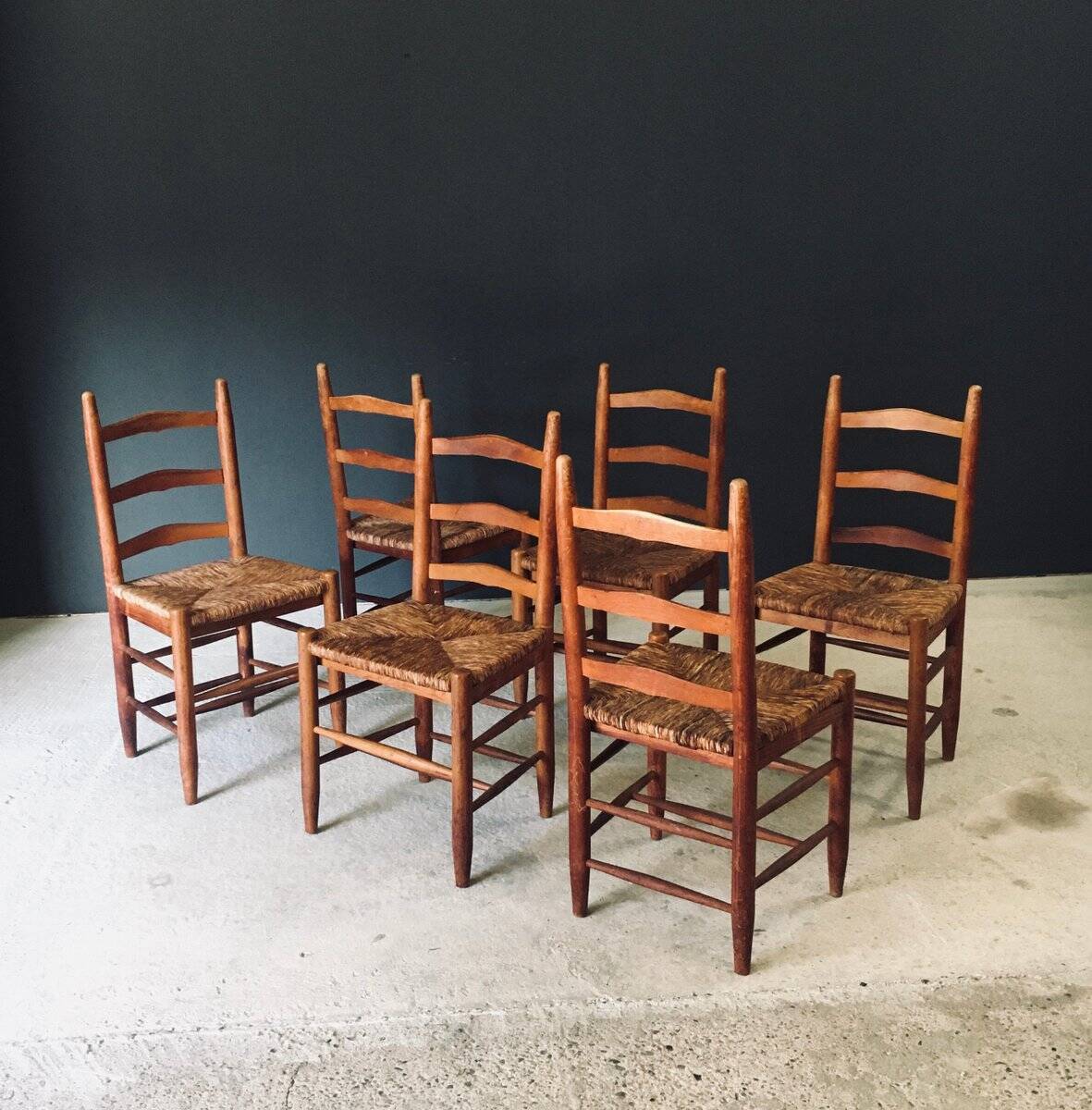 Low rustic ladder back dining chairs in oak and rush, Belgium, 1950s, set of 6.
