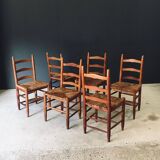 Low rustic ladder back dining chairs in oak and rush, Belgium, 1950s, set of 6.