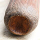 Carved bamboo vase, Japan