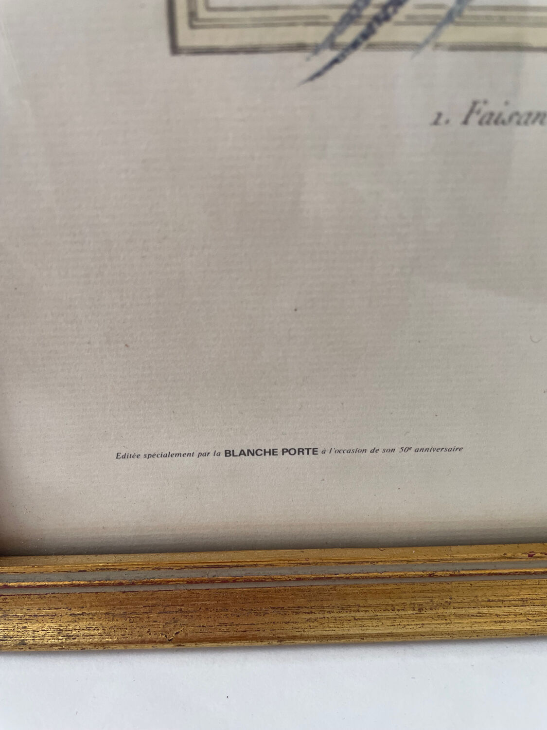 Zoological plate by François Martinet