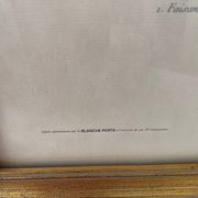 Zoological plate François Martinet