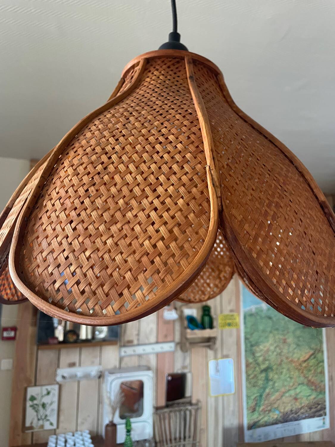 Rattan pendant light