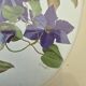 Set of 2 gilded frames under glass – V. Mappin purple flowers – 21.5 x 16.5 cm