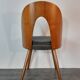 Set 6 chairs Walnut Suman by MIER, Mid-Century Czechoslovakia 1960 s