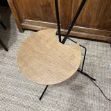 Double foot lamp compass and harness