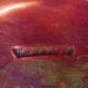 Vallauris tabletop serving dish in Vintage Vintage glazed ceramic 70s