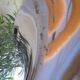 Table vintage pied tulipe