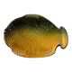 Serving plate "fish" Vallauris