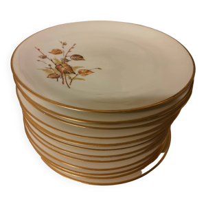 Assiettes dessert porcelaine