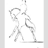 Dressage, illustration