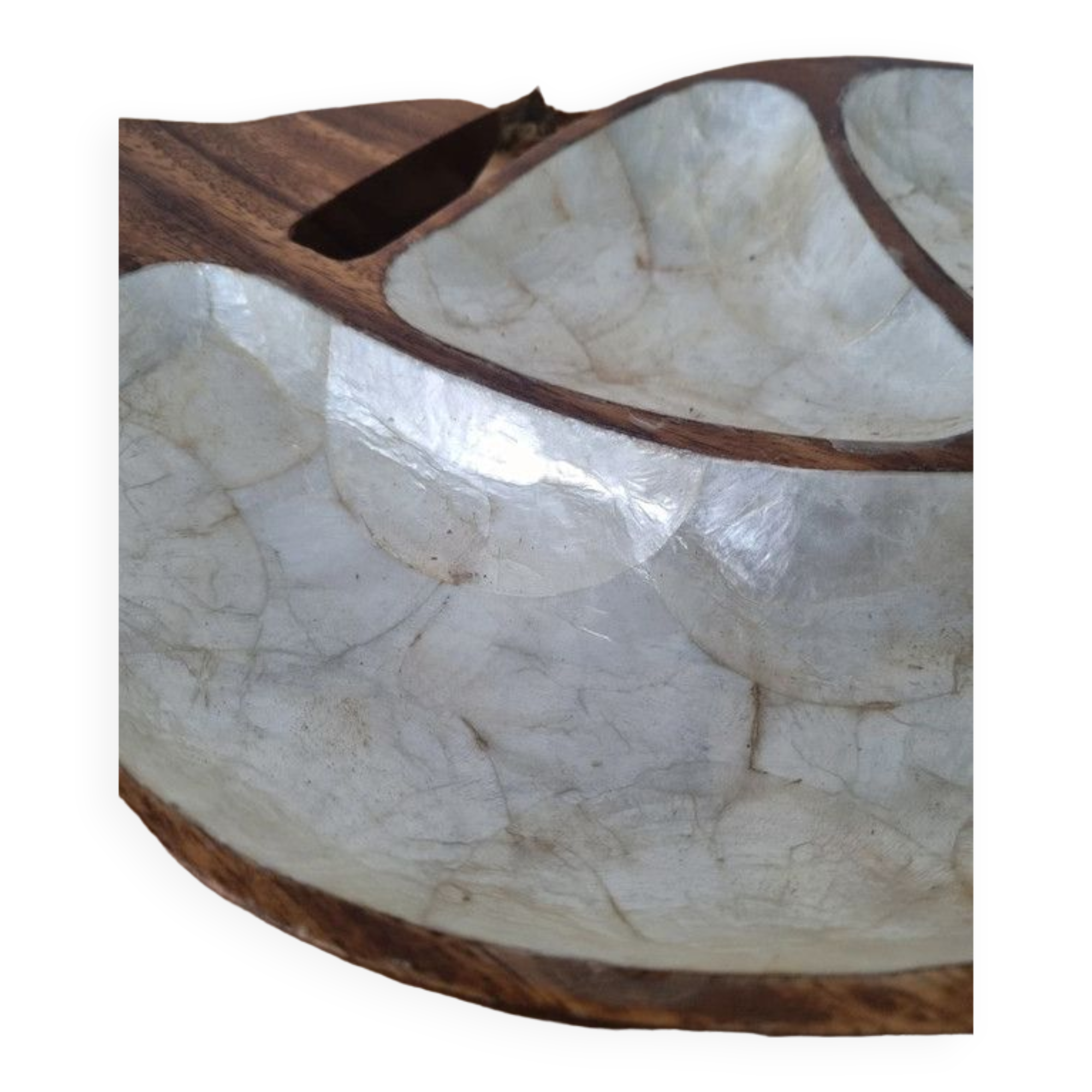 Empty wooden and mother-of-pearl whale pocket display