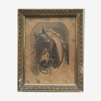 Tableau "Portait de cheval" par Jeanne Arrow daté de 1894 cadre