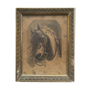 Tableau Portait de cheval par