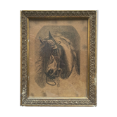 Painting "Portrait of horse" by Jeanne Arrow dated 1894 frame