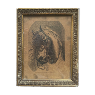 Painting "Portrait of horse" by Jeanne Arrow dated 1894 frame