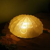 Flower-shaped press glass and glass ceiling light