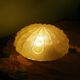 Flower-shaped press glass and glass ceiling light