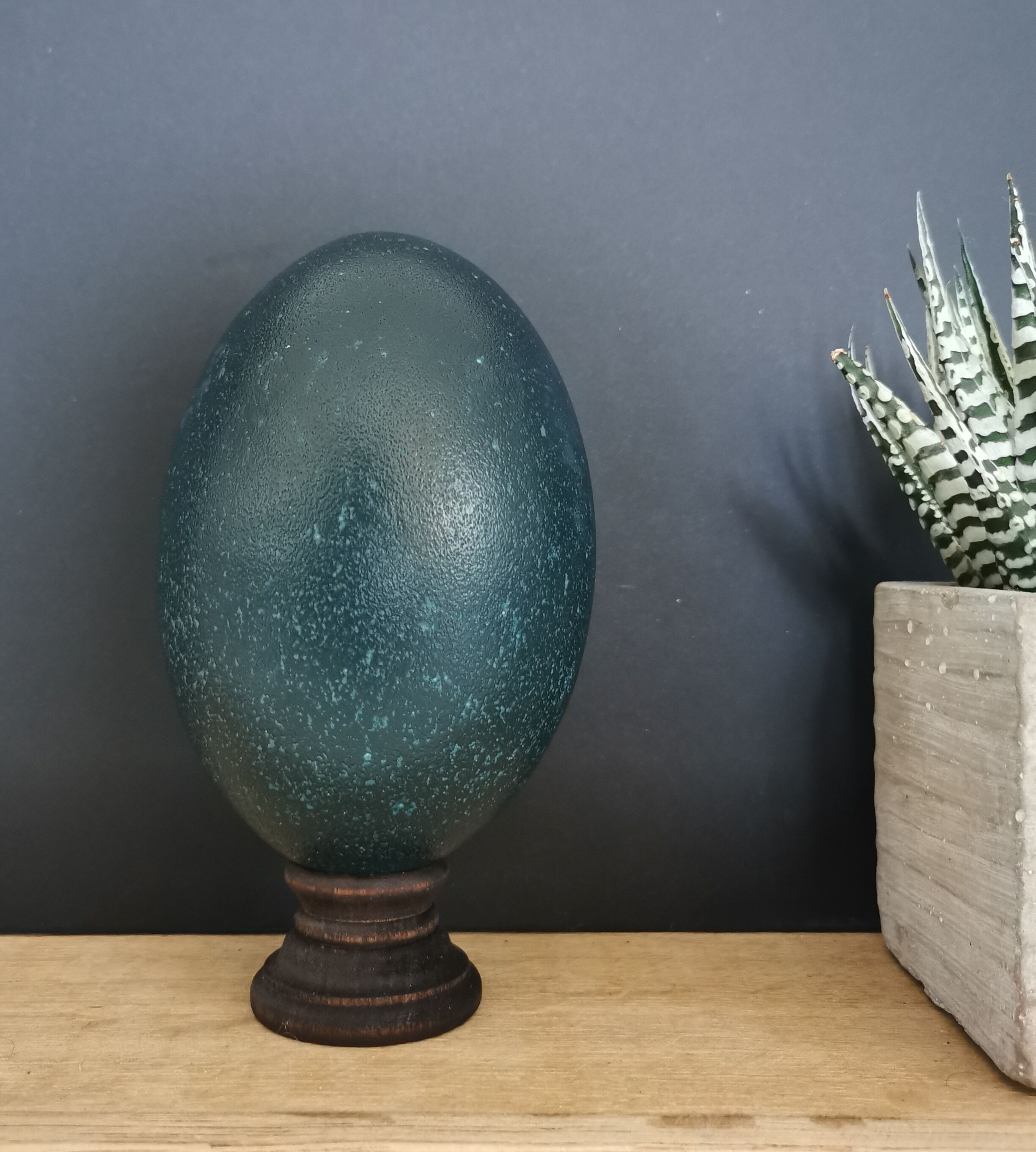Emu egg naturally green / blue on dark wood bases