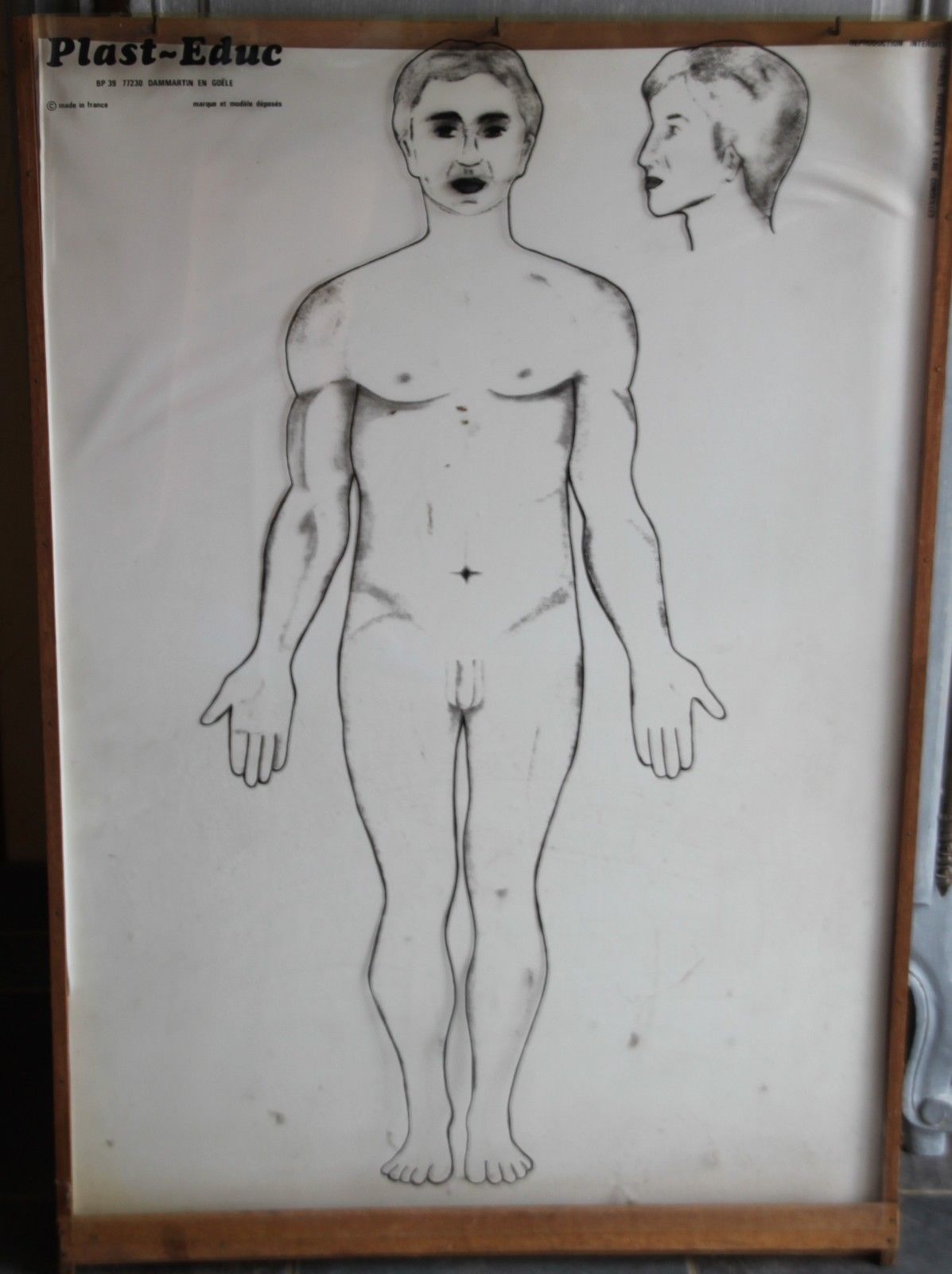 Boards of the human body medicine or school