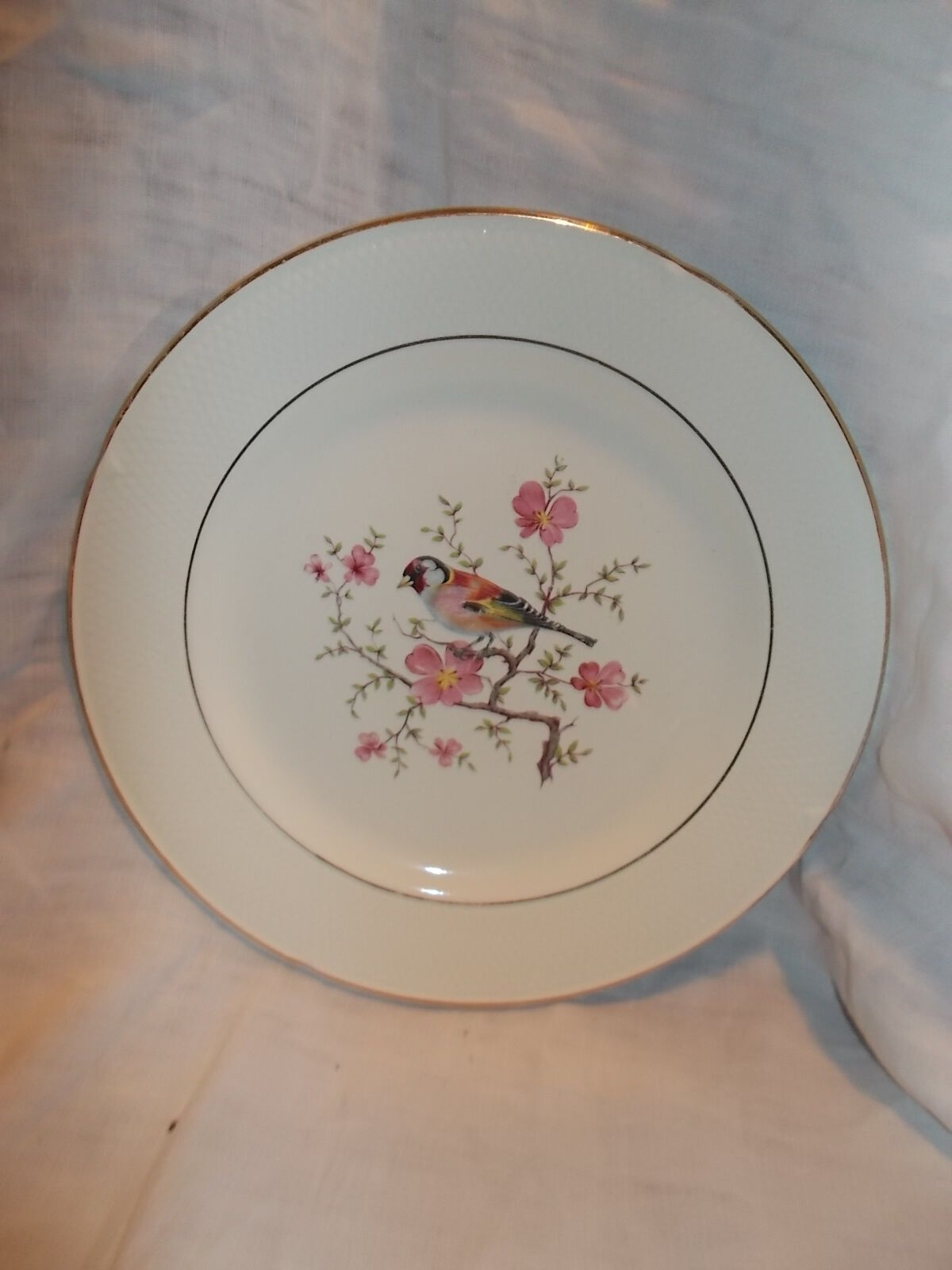 Suite 18 flat plates Salins France