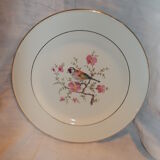Suite 18 flat plates Salins France