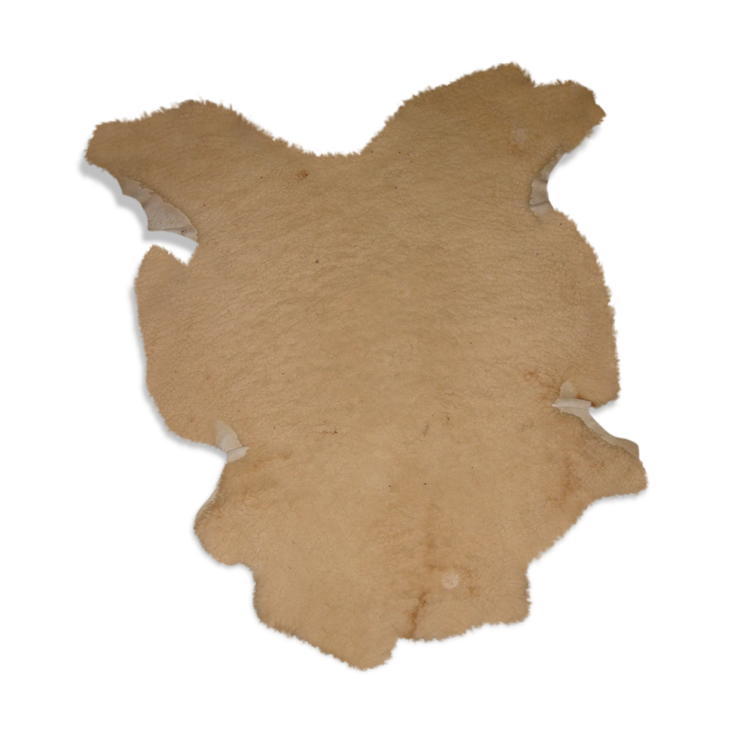 Peau De Mouton Tannée 6 Lettres