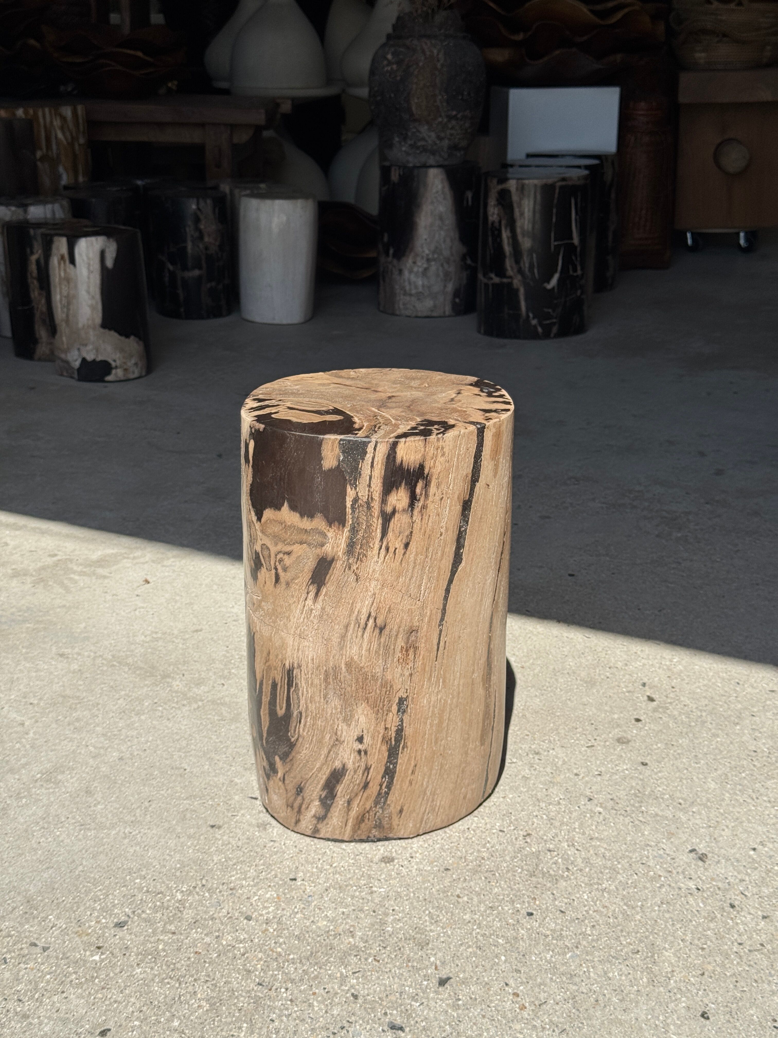 Brown and black petrified wood side table H35 D27 - 3333