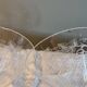 7 Art Deco crystal champagne coupes, grape clusters (+ 2 gifts)
