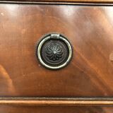 English mahogany bookcase from the early 20th century
