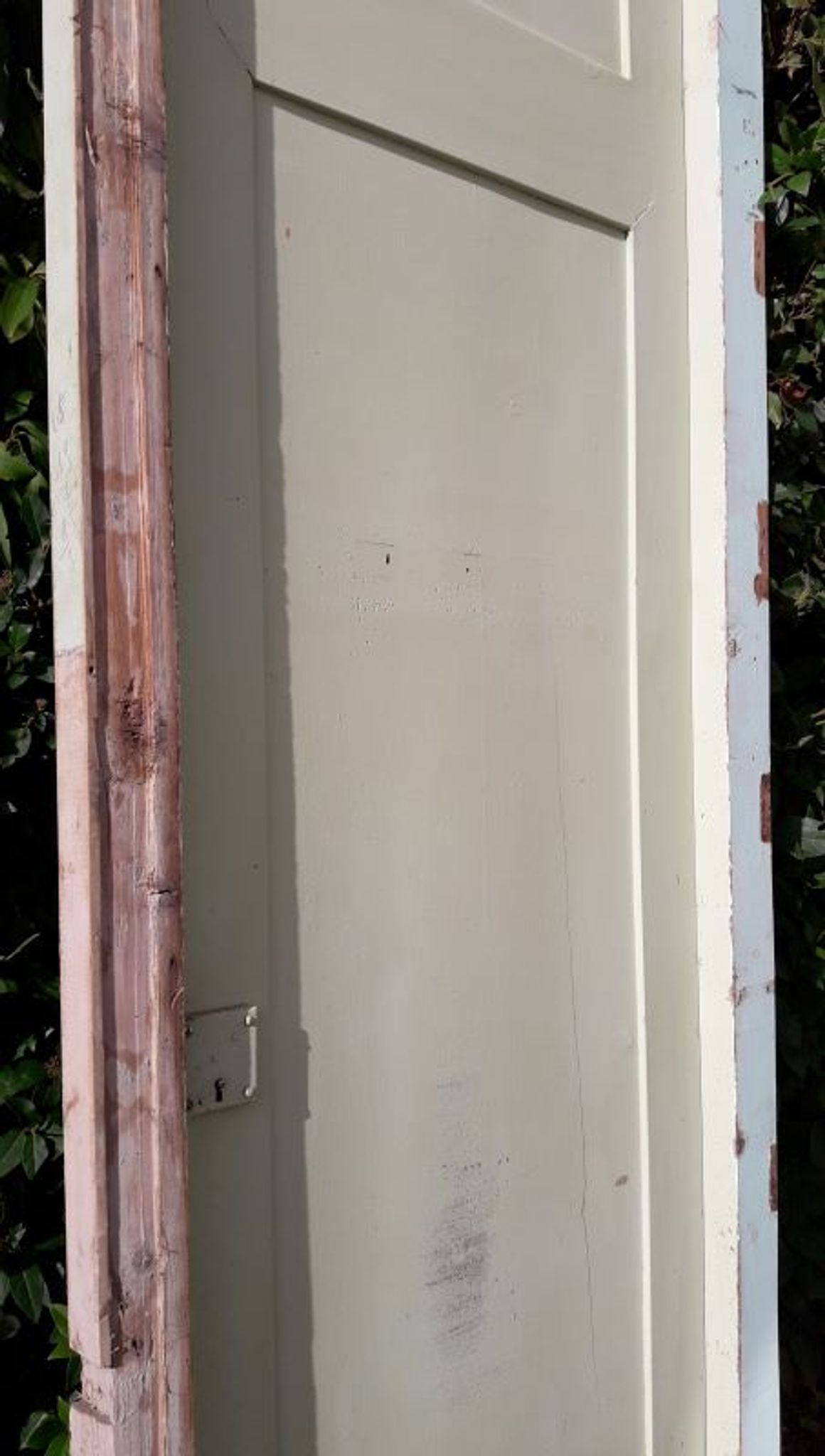 Porte 67.2x237.2cm de placard et son cadre