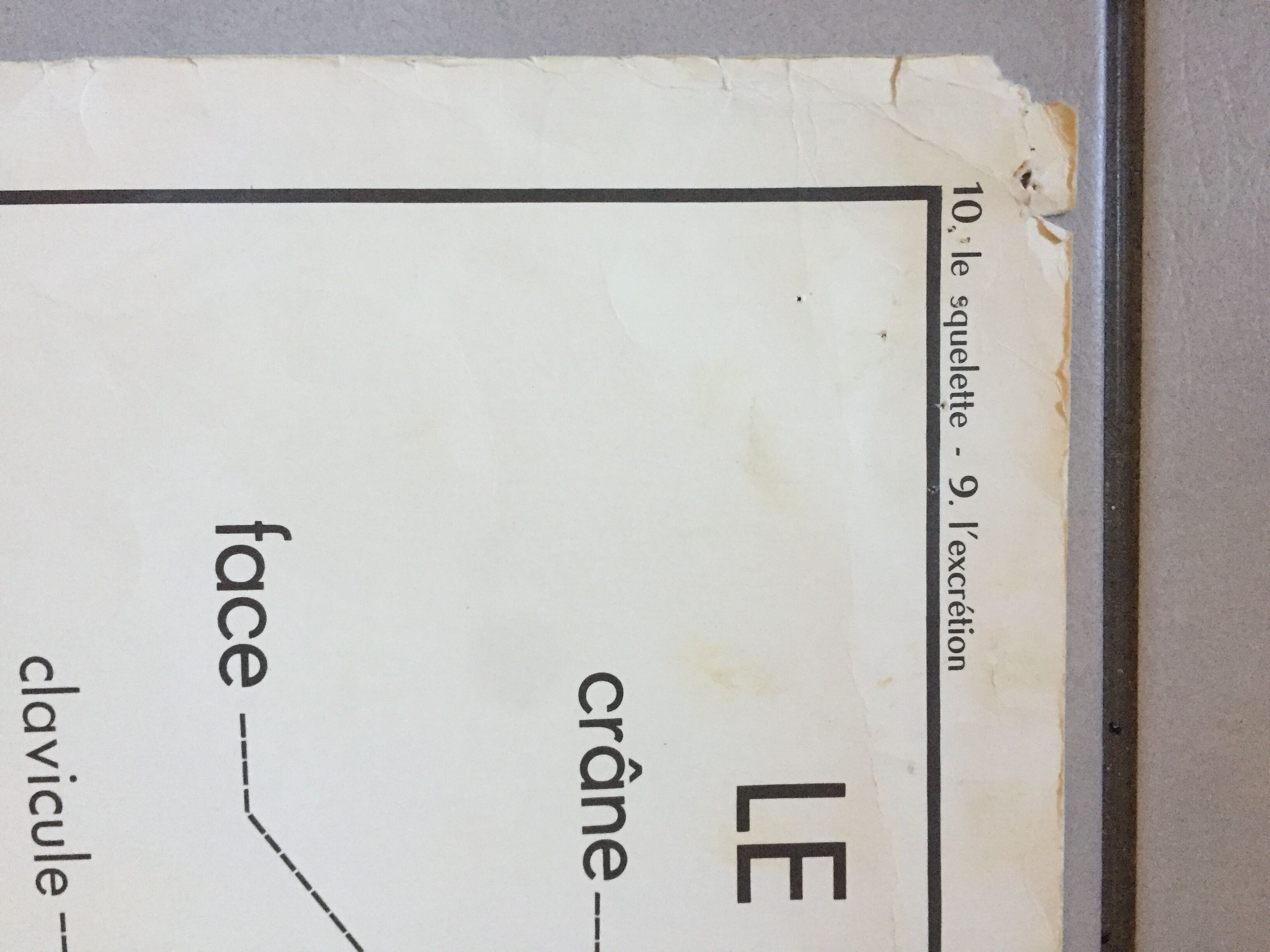 Carte d’école rossignol, le squelette et l’excrétion