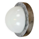 Vintage Wall or Ceiling Light from Elektrosvit, 1970s