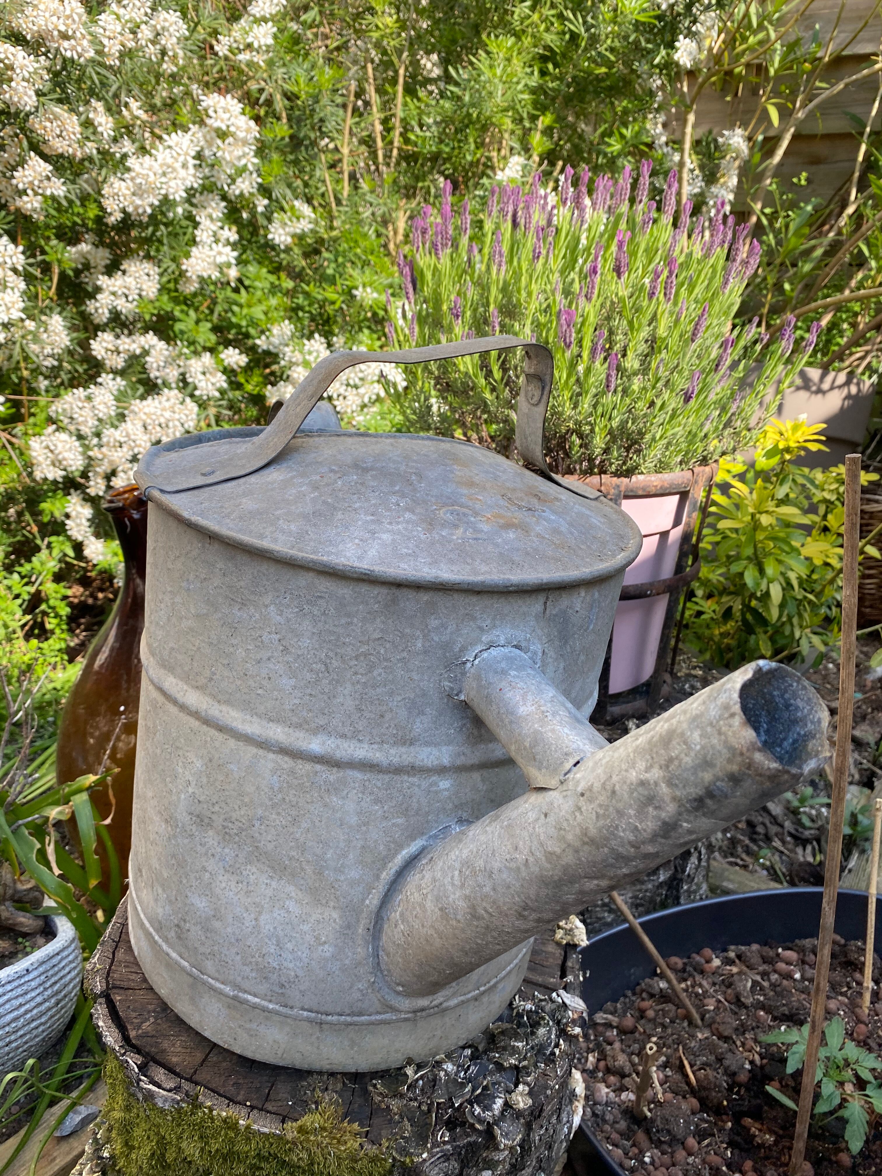 Old zinc watering can