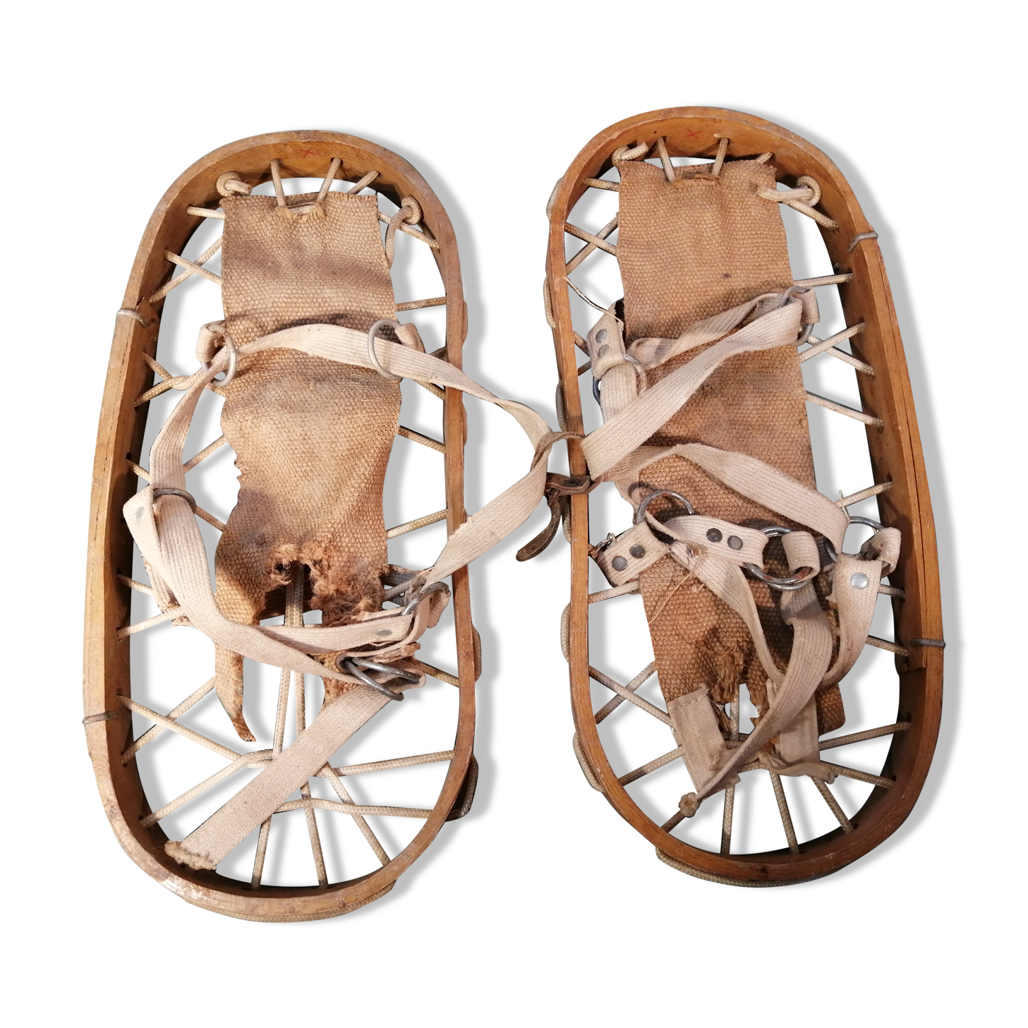 Winterna old snowshoe